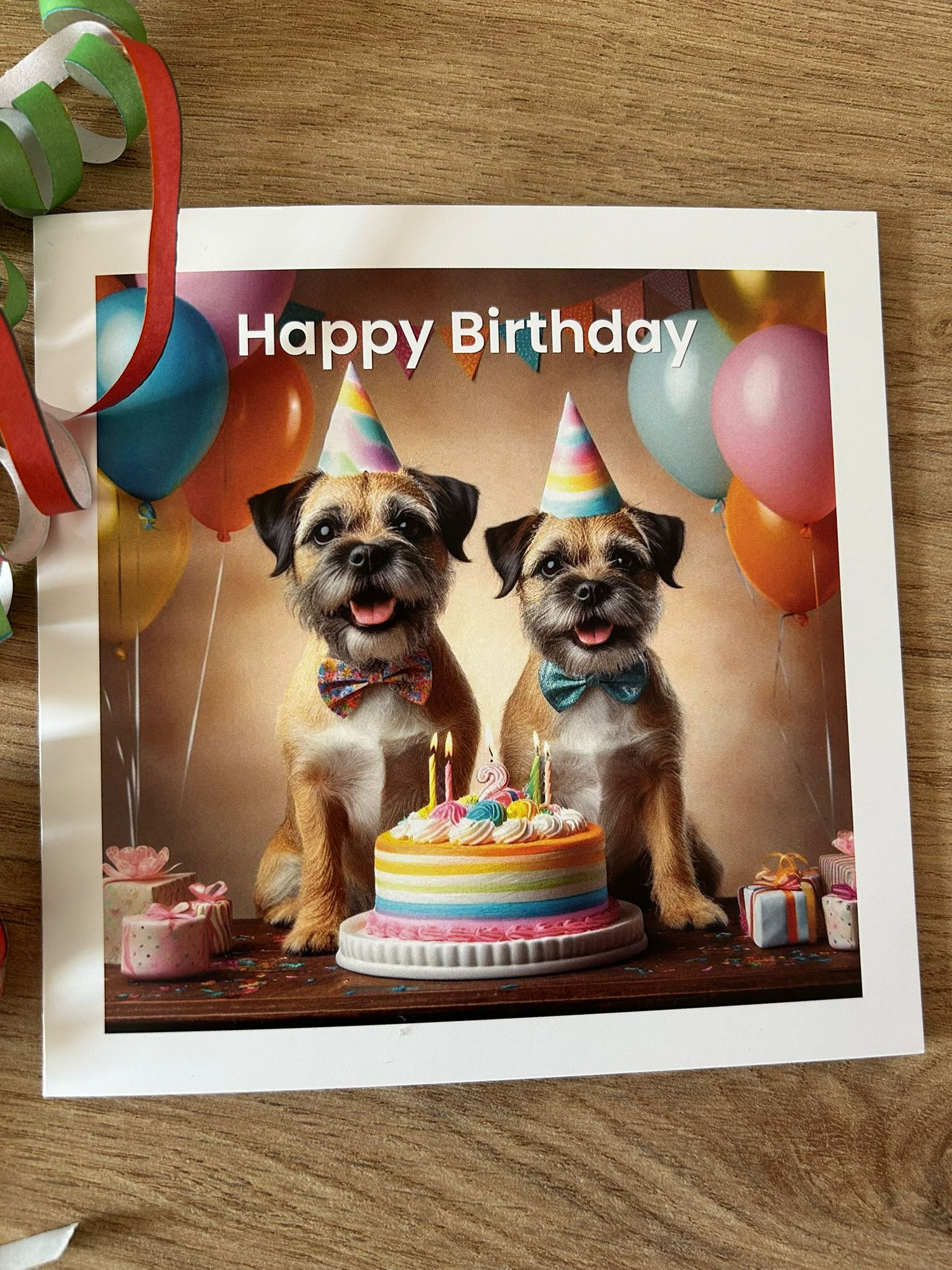Birthday Card - Border Terrier Duo
