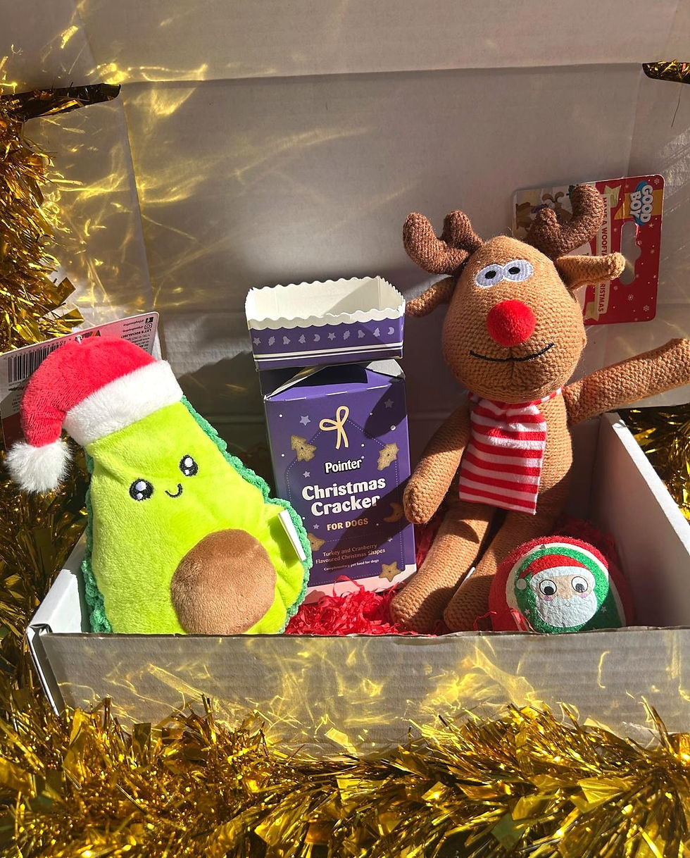 Merry Little Woof Box