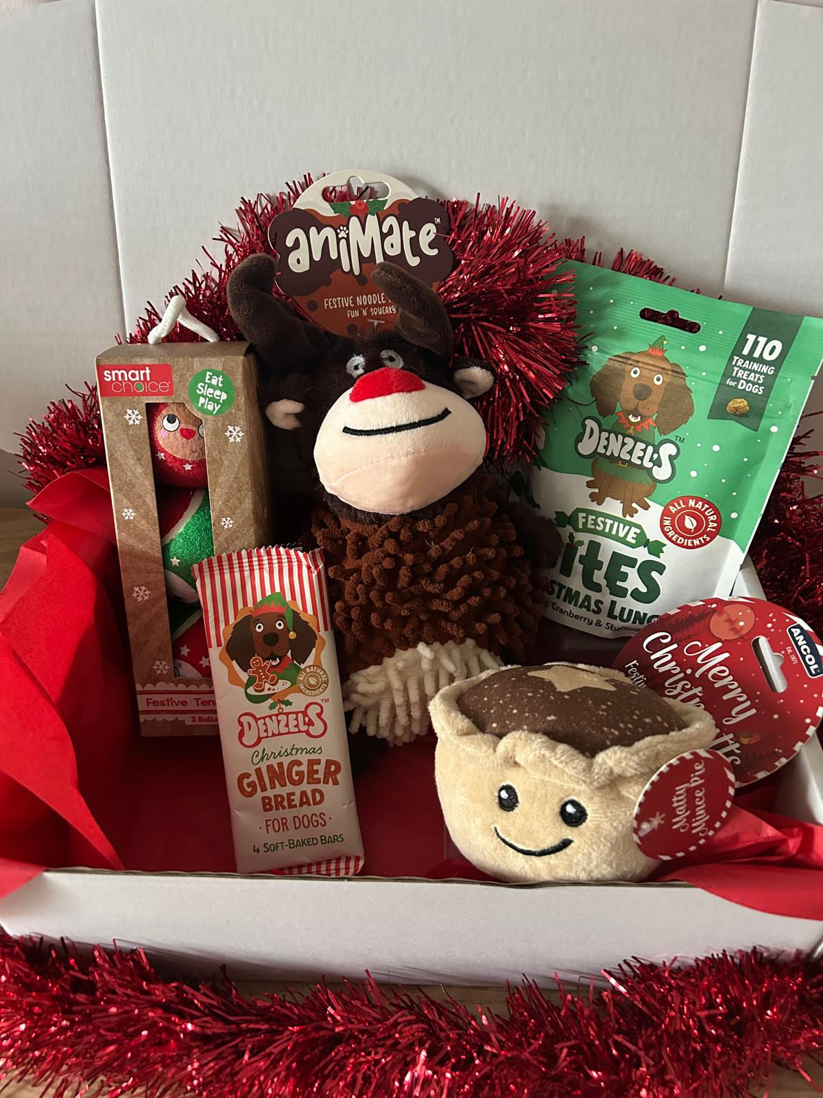 Deck The Paws Gift Box