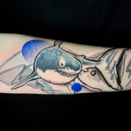 Dalia_Hautundliebe_Tattoo_Shark.jpeg
