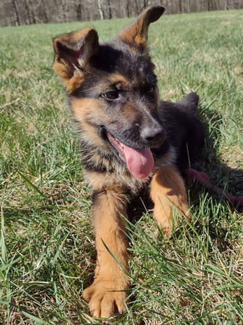 Kona