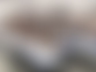 Ações educacionais 'Saúde, Alimento e Cultura' em Recife/PE