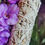Thumbnail: White Sage Bundle