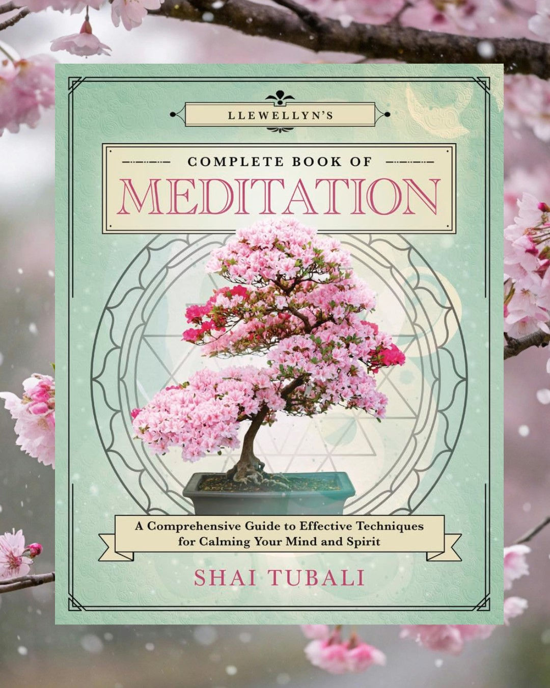 Llewellyn's Complete Book Of Meditation