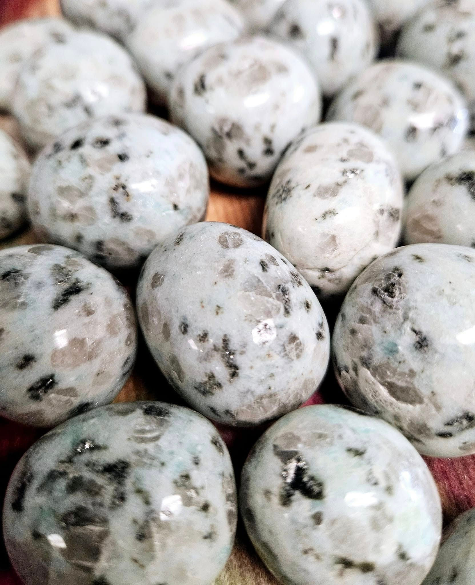 Kiwi Jasper Tumble