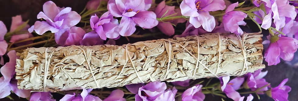 Thumbnail: White Sage Bundle