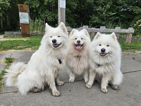 Gezocht: Nieuwe locatie!