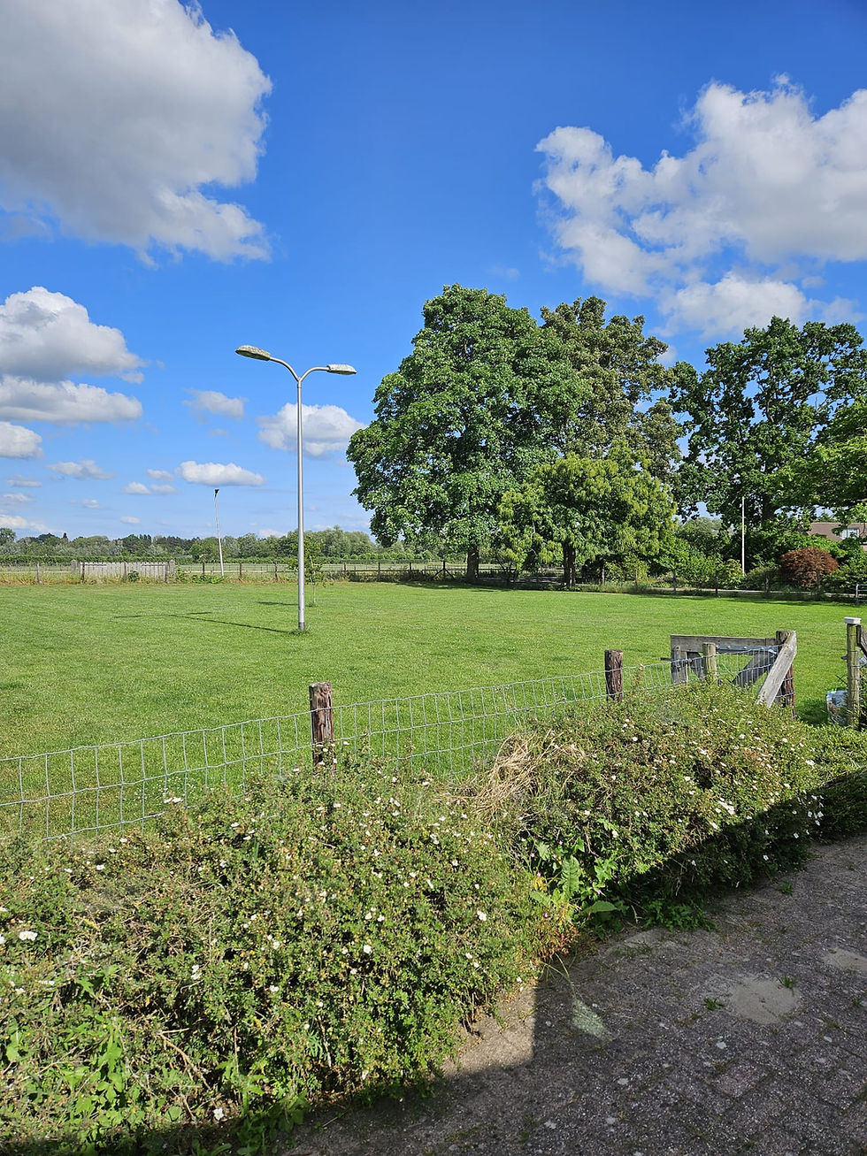 We zijn weer begonnen!