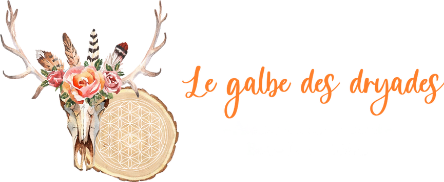logo galbe ecriture bis.webp