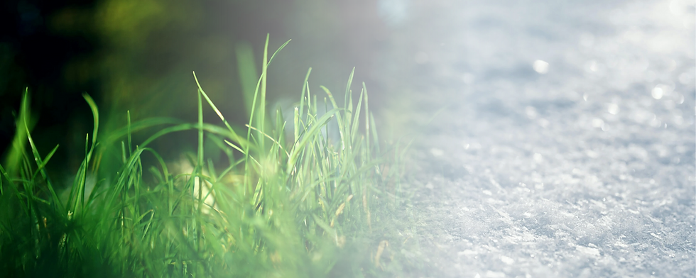 Untitled (2000 x 800 px).png