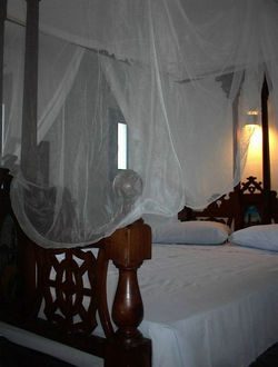 STUDIO1 (1).JPG