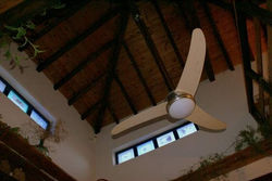 DSC00742-001.JPG