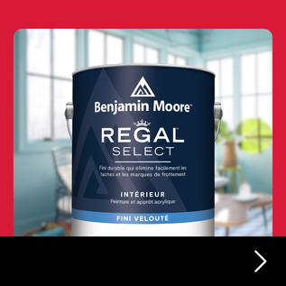 Peinture Benjamin Moore