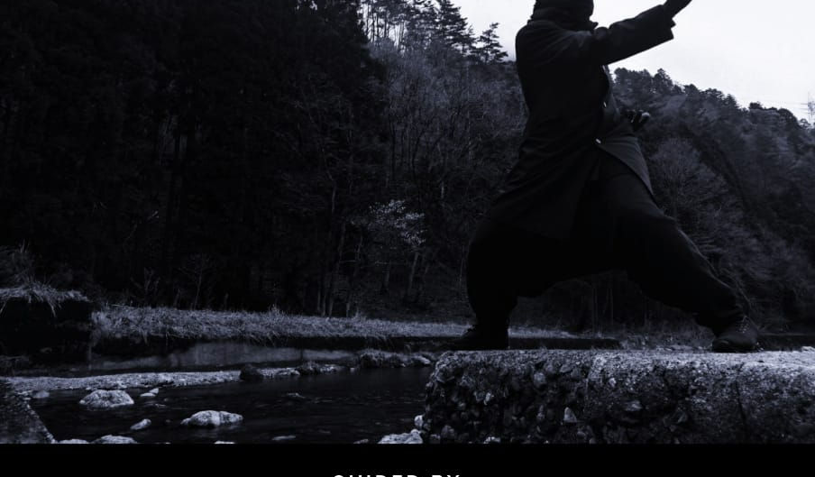 Qigong foundations Workshop -July 17th-