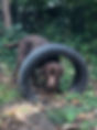 snuffeltuin 8.JPEG