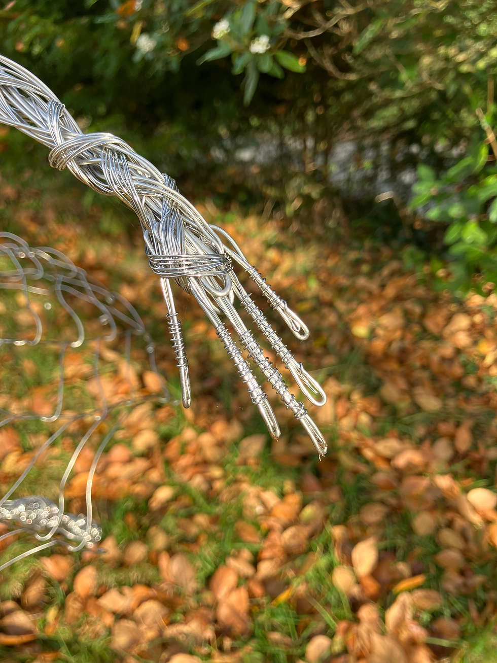 Thumbnail: Cobweb Dancer