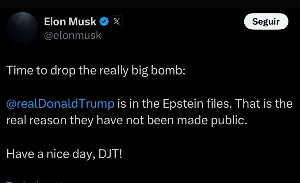 Elon Musk X