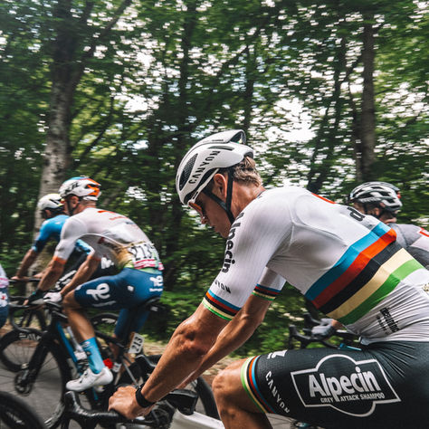 L’entraînement des pros du Tour de France : découvrez leurs secrets 💛