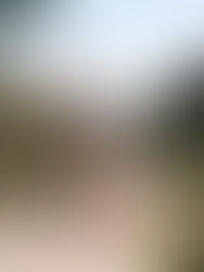 Pourquoi travailler proche de VO2max en amont de la saison en endurance ?  🏃🏼