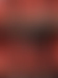 Run in lyon 2025 ibex