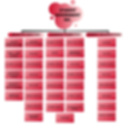 Flow chart (3).png