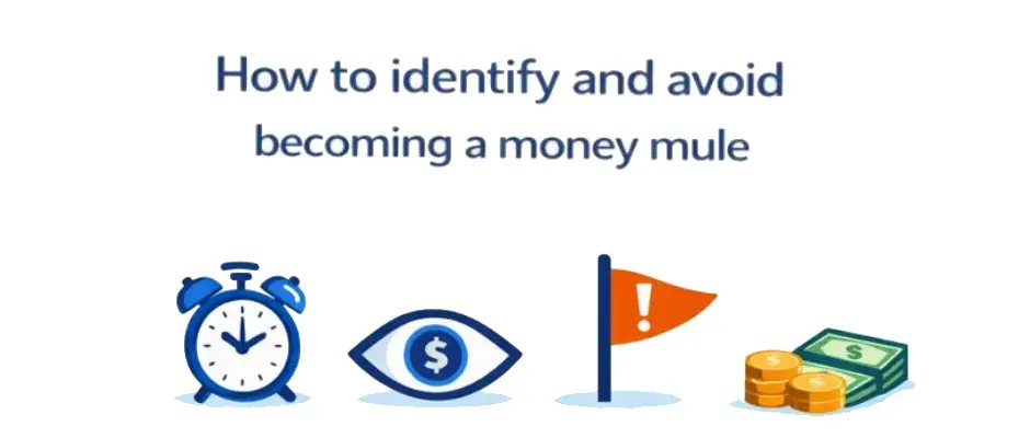 red flags of money mule scams