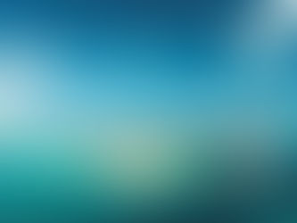 MSC Cruises Catch of the Week bis 14.01.