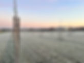 vriesweer in de plantage