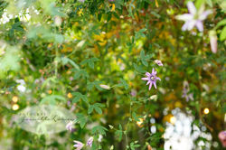 (C)JeanetteLarsen-200926-B-529