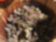 IMG_9022.jpeg
