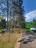 IMG_9198.jpeg
