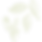 cardamomo 1.png