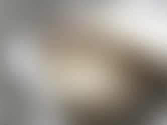 5 Forbidden Cheeses You’ll Never Taste in the U.S. (And Why)