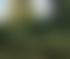 Imsil Cheese Theme Park: A Cheesy Escape You Didn’t Know You Needed