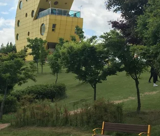 Imsil Cheese Theme Park: A Cheesy Escape You Didn’t Know You Needed