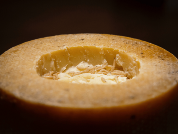 The Disgusting Food Museum: A Culinary Adventure You Might Regret