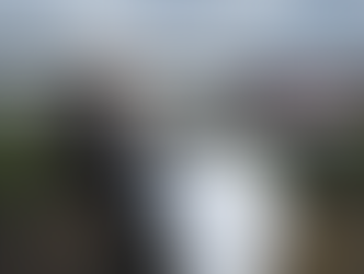 The Man Who Proved You Can Eat Anything—Even a Plane