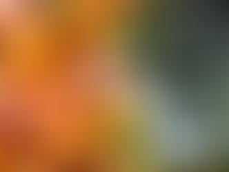 How to Choose the Best Squash Every Time