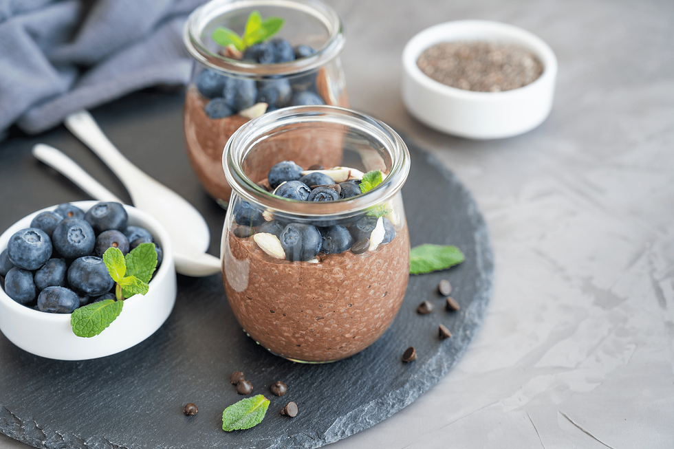 chocolate chia seed pudding