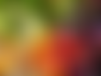 Is Organic Produce Worth Splurging On? Your Ultimate Guide to Shopping Smart