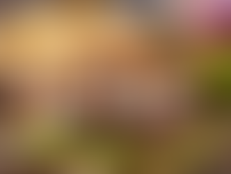 Celebrate National Cheeseburger Day with the 10 Best Cheeses for Your Ultimate Burger!