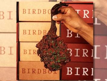 NYC’s Wildest Chicken Sandwich: Would You Dare to Take a Bite?