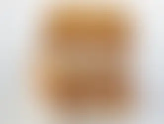 Frozen S’mores: Ice Cream Sandwiches Meet Gooey Campfire Bliss