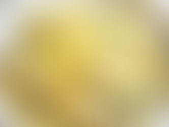 Lemon Ricotta Pasta Recipe
