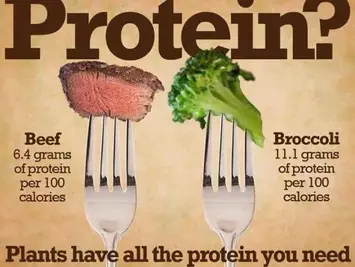 National Protein Day: Does This Vegetable Contain More Protein Than Steak?