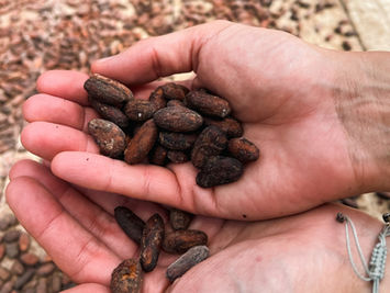 Charlemagne, Belgian Chocolate with a New Look