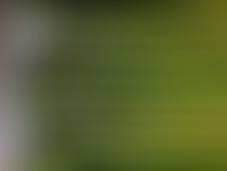 This Vegetable May Be Your Hangover Helper