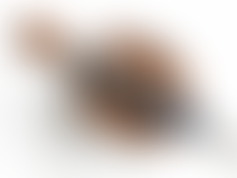 Does Nutella Still Taste the Same? The Truth Behind the Recipe Change