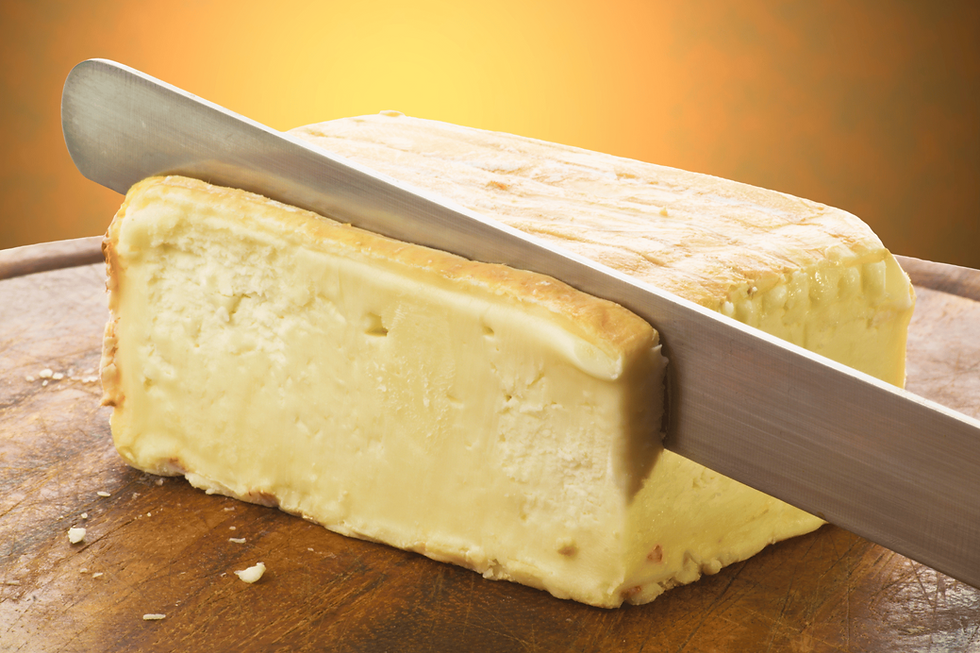 taleggio cheese