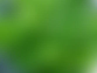 This Vegetable is Declared the Healthiest — and It Might Surprise You!